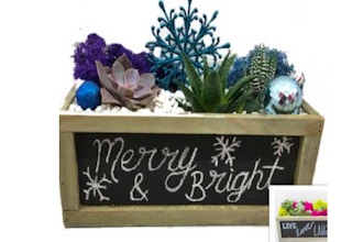 Plant Nite: Chalkboard Holiday or Everday Design